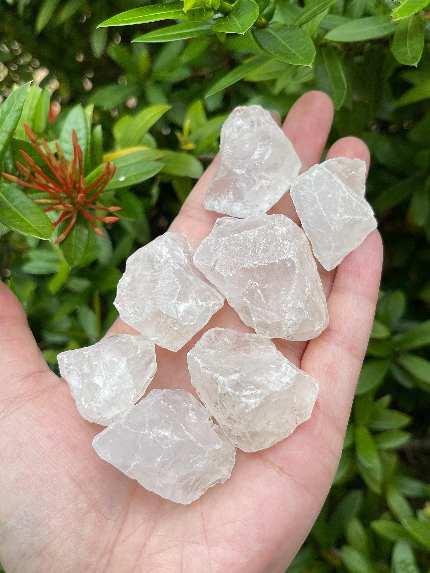 GAF TREASURES Wholesale Raw Clear Quartz Crystals, Natural Clear Quartz Stone, Natural Rough Clear Quartz Crystals, Clear Quartz Rough, Clear Quartz Healing Crystals (Clear Quartz, 0.25 Pound)