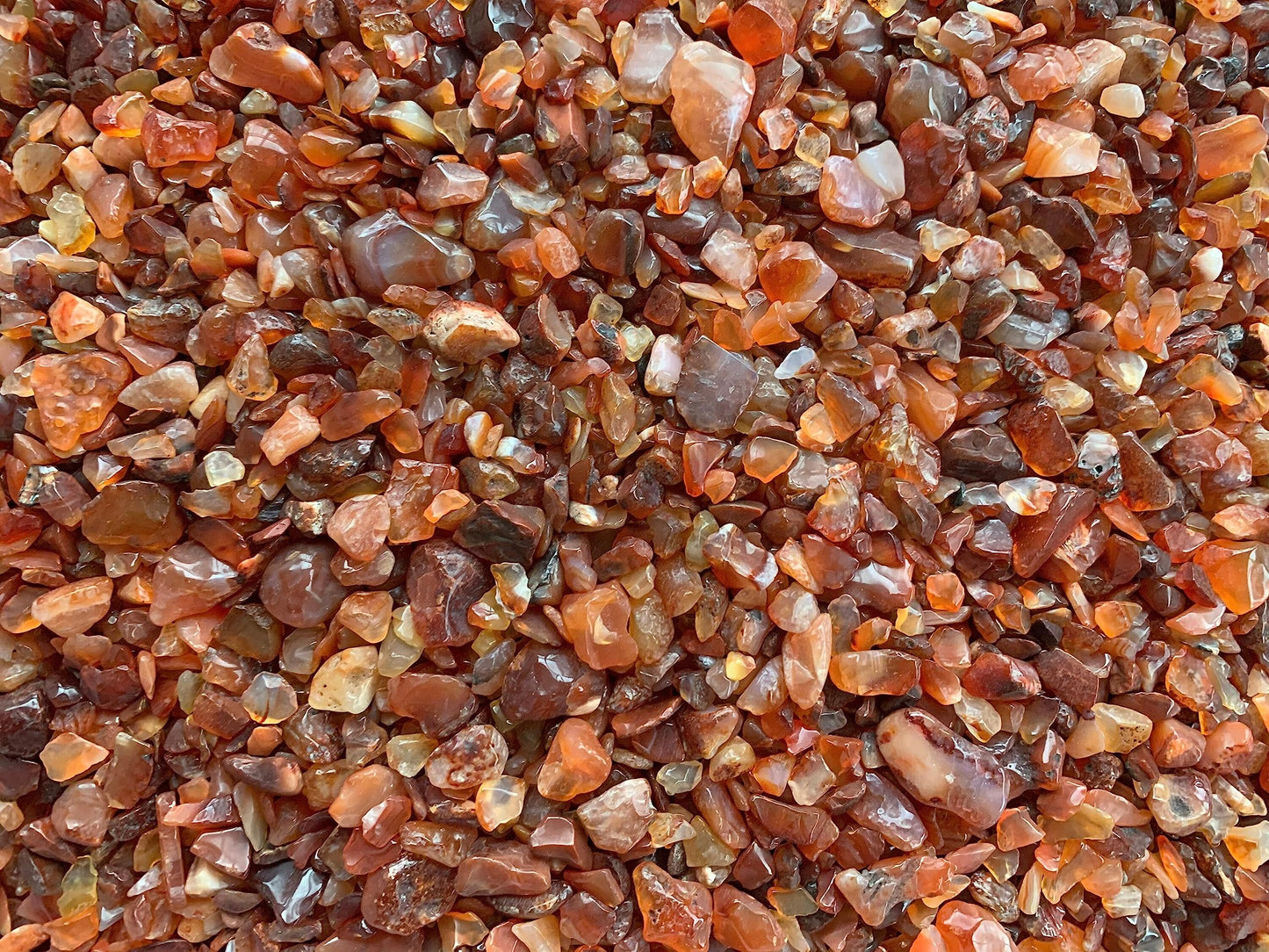 WHOLESALE Natural Semi Tumbled Carnelian Gemstone Chips, Crushed Mini Crystals, Undrilled Crystal Chips (Carnelian, 0.25 Pound)
