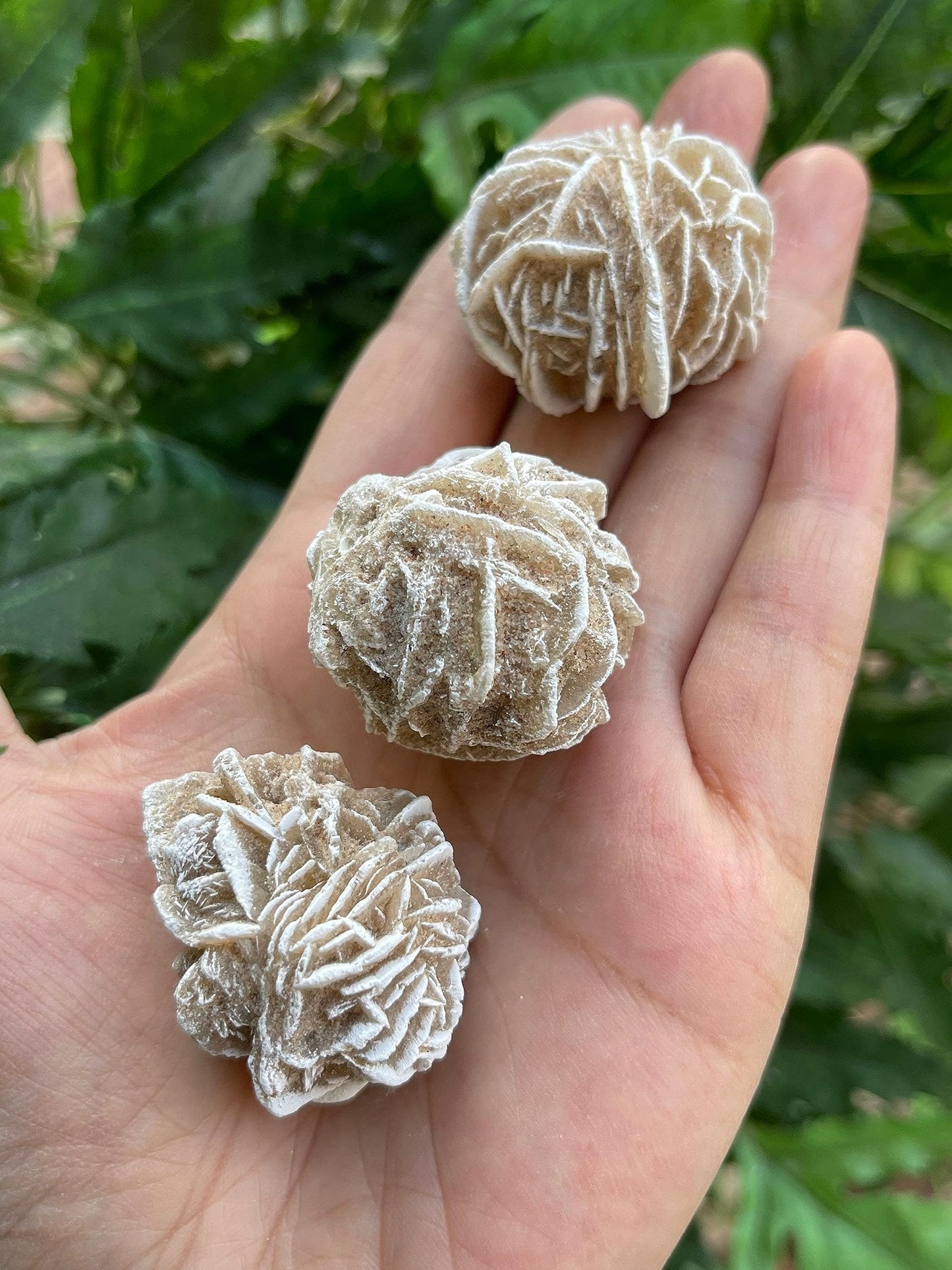 GAF TREASURES Wholesale Raw Desert Rose Crystals, Natural Desert Rose Stone, Natural Rough Desert Rose Crystals, Desert Rose Rough, Desert Rose Healing Crystals (Desert Rose, 0.5 Pound)