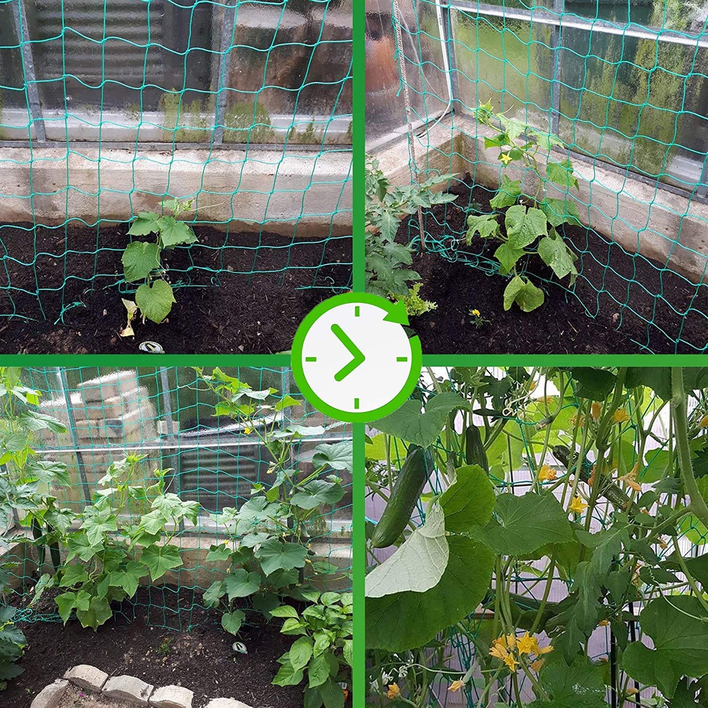 Trellis Netting for Climbing Plants - Heavy Duty Garden Trellis Netting for Cucumber, Vine, Fruits & Vegetables Tomato Plants Trellis Net, Climbing Vining Plants (1-Pack 32.8' x 6.6'Ft)