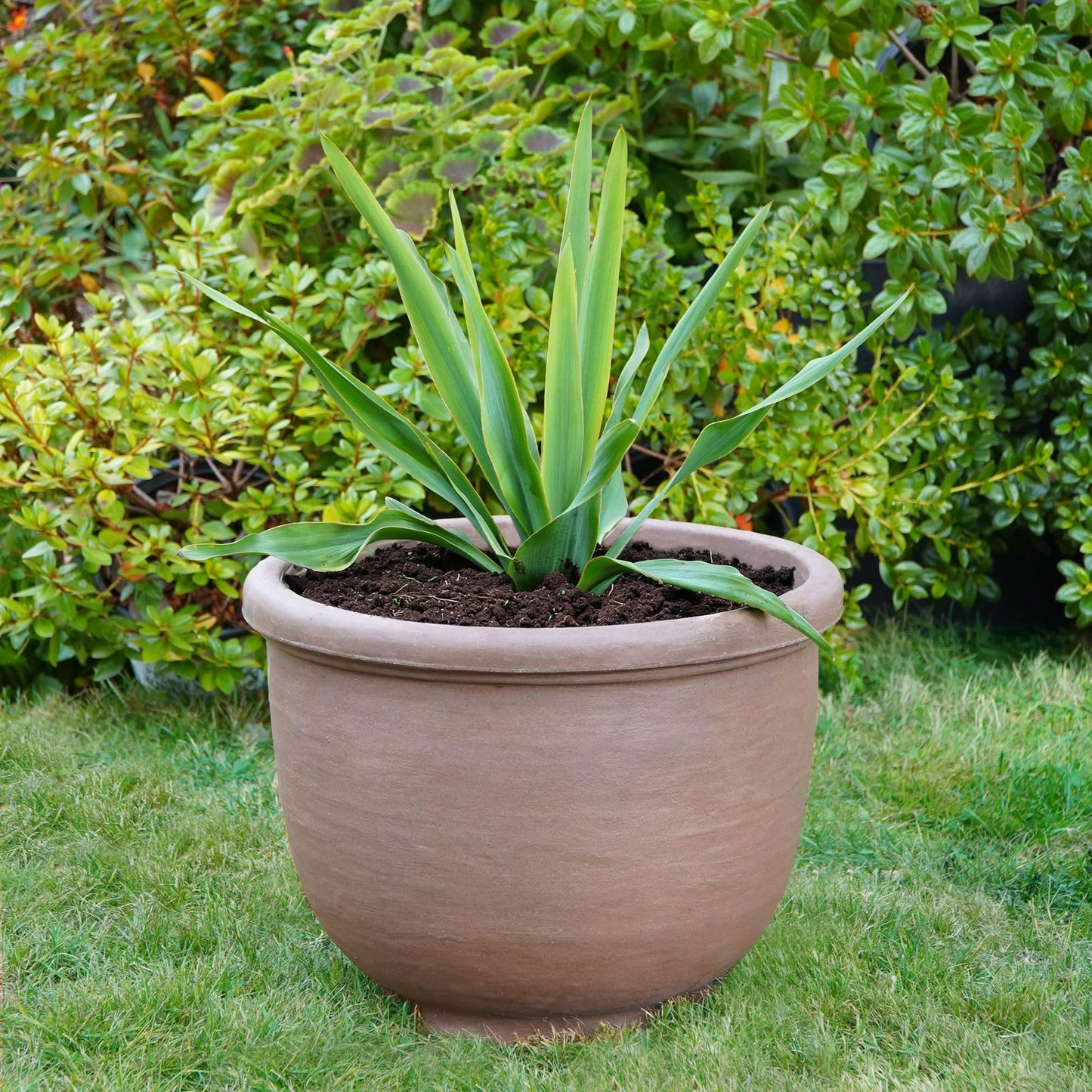 Crescent Garden Agave Planter, Classic Lightweight Resin Planter - UV-Resistant Flower Pots - Indoor & Outdoor Pot for Flowers, Houseplant, Herbs, 21" W x 17" H (Rust)