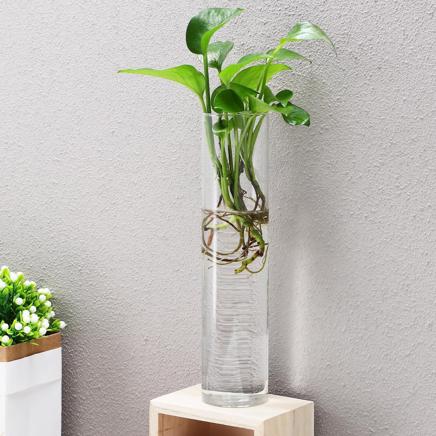 GLEAVI Wall Mounted Flower Vase Set 2pcs Large Cylinder Glass Tubes Hanging Wall Planter for Indoor Plants Home Décor Terrarium Holder