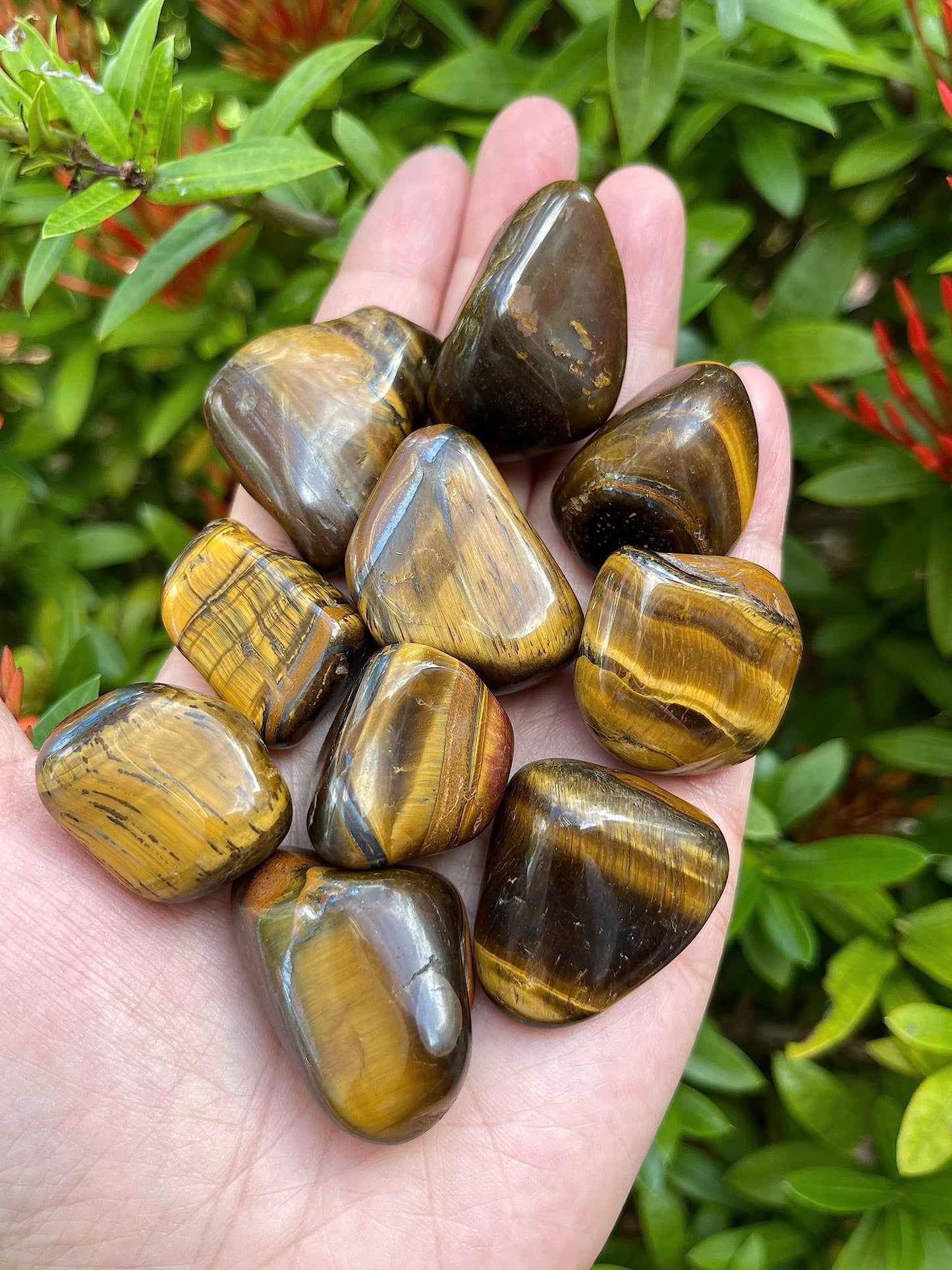 GAF TREASURES Wholesale Tiger Eye Tumbled Stones, Polished Natural Tiger Eye Gemstone, Tiger Eye Polished Rocks (Tiger Eye, 0.25 Pound)
