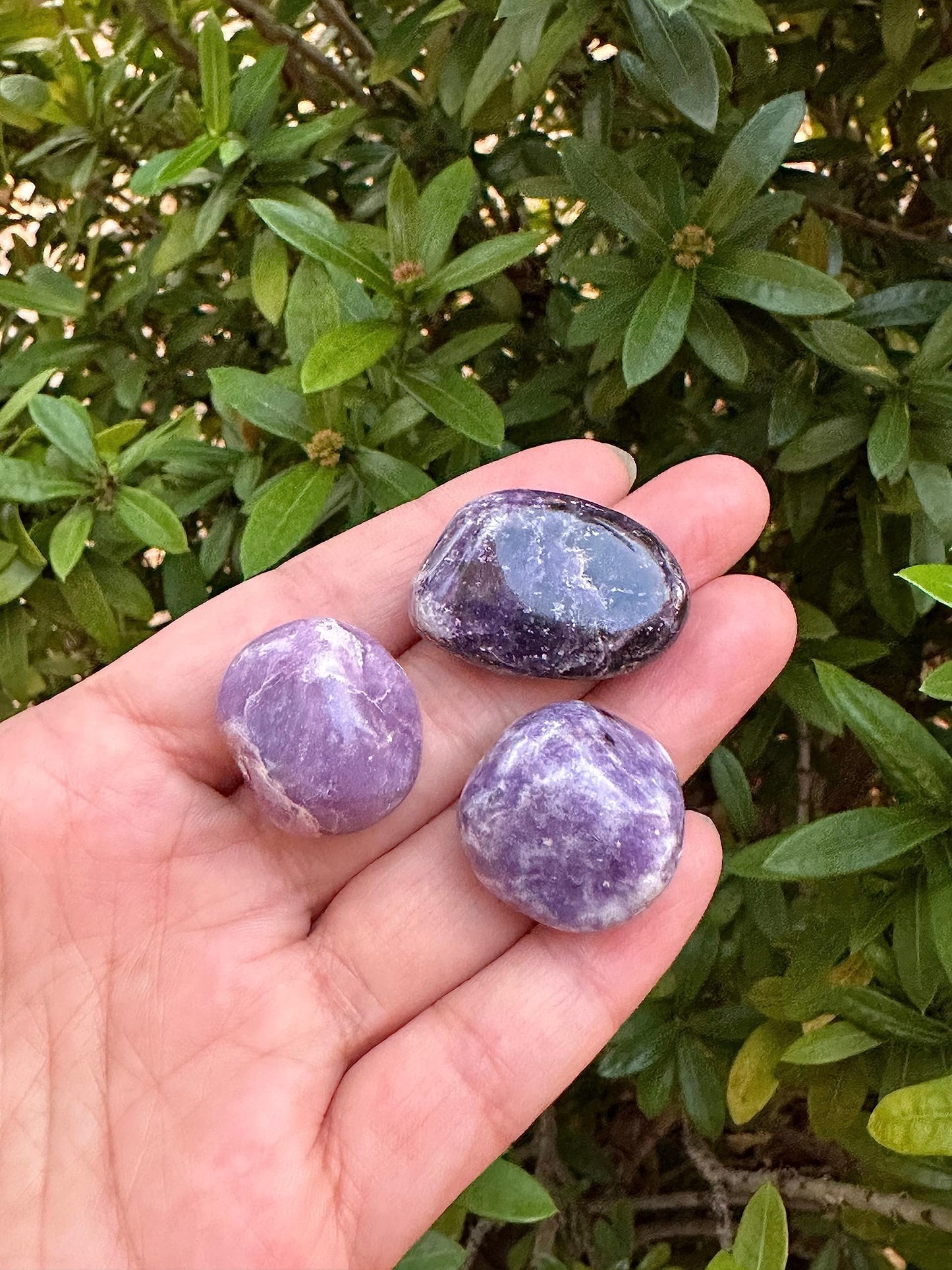 GAF TREASURES 5 Pcs Lepidolite Tumbled Stones, Polished Lepidolite Gemstone, Lepidolite Healing Crystals (Lepidolite)