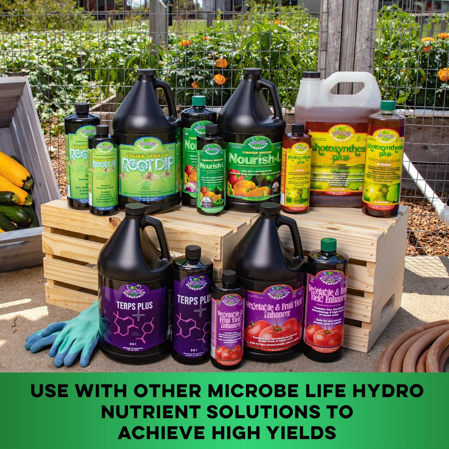 MICROBE LIFE HYDROPONICS Nourish-L Liquid Fertilizer, Stimulator to Enhance Plant Nutrient Absorption for Fruits & Vegetables, Use with Any Feeding Systems Including Hydroponics or Soil, 32 Ounces